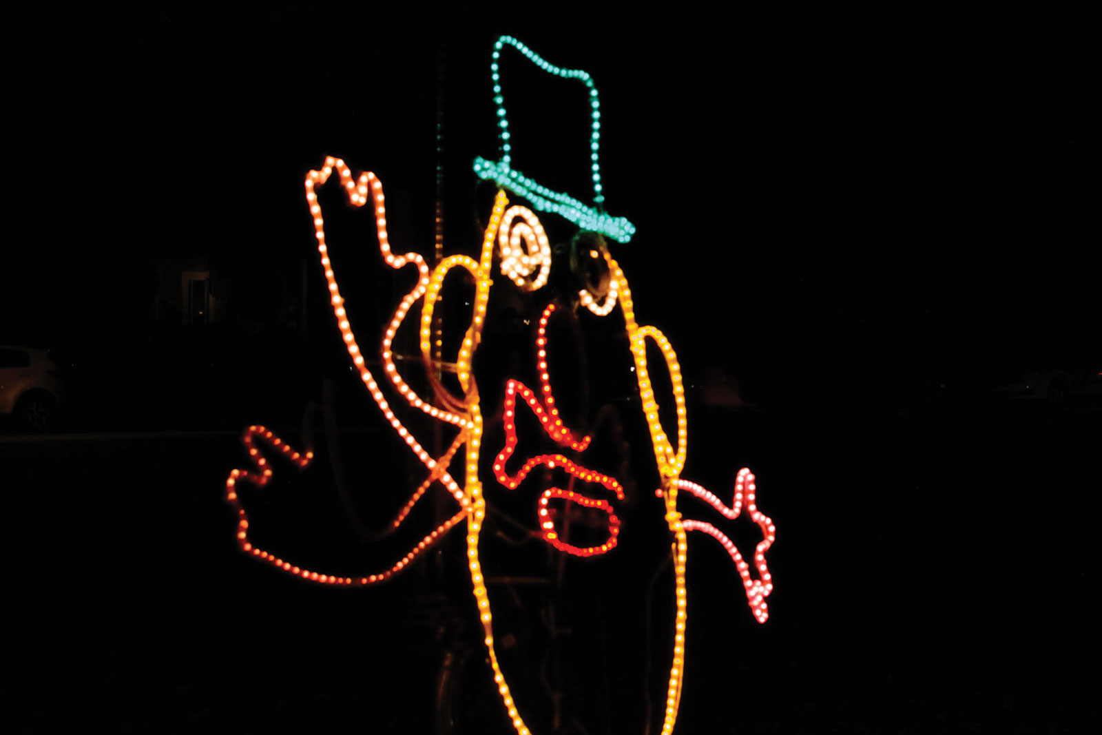 11-20-23-City-Park-Lights-11 | News, Sports, Jobs - News and Sentinel